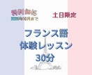 フランス語30分の体験レッスン！文法か会話選べます 仏検1級•C1のお母ちゃん先生とオーダーメイドレッスン準備 イメージ1