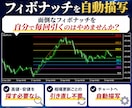 専業トレーダーが使うフィボナッチを自動描写します 面倒なフィボナッチを自分で毎回引くのはやめませんか？ イメージ1