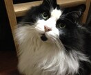 些細なことでも何でもお話聞きます 悩みはあるけどプロに相談するほどでも…という方ぜひ！ イメージ1