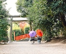北海道・関西エリアで七五三の出張撮影します 北海道、関西エリア出張撮影対応！ イメージ3