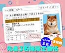 本物そっくり！ペットのオリジナル免許証を作ります 嬉しい2枚セット！丈夫なプラスチック製オリジナルペット免許証 イメージ1