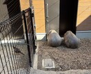 お話し相手が欲しいかたなんでも聞きます 「こんな事話していいのか？」全て話せます。 イメージ2