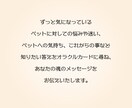 簡易版☆ペットについてのお悩み、占います ペットについてのお悩みや不安、オラクルカードが解決します イメージ3