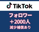 TikTok フォロワー 2000人 増やします 振り分け可能・保障あり・2000人以上はオプションあり イメージ1