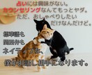 誰かと かる〜く お喋りしたい。　お待ちしています 標準語も関西弁もネイティブな僕が、お話し相手になります。 イメージ1