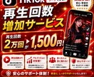 TikTok再生回数2万回増やします 安心できるこのお値段。オプション購入でもっとお得に！ イメージ6