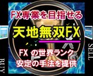天地無双FXによる高機能ツールを提供します FXトレードで勝てるようになった経験とそのロジックの公開 イメージ1