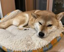 何でも聞きます！！ます 何でも聞きます。愚痴でも、悩みでも呟いてみませんか？？ イメージ3