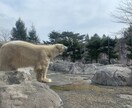 秋田、岩手、青森の動物園の写真、動画撮影します 遠方でなかなか行けない方必見！ イメージ1