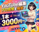 YouTube動画をプロが格安で編集します 集客・採用・ブランディングを加速させる動画制作 イメージ1