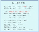 エクセルLite版★ライフプランシート作成します 簡単入力でシュミレーションできる家計のお助けアイテム イメージ7