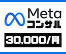 Meta広告のプロが運用改善します ☆実績多数☆　バナー作成〜分析、運用改善まで幅広く対応します イメージ1
