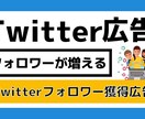 Twitter（X）のフォロワー増やします オール日本人のアクティブユーザーになります。 イメージ1