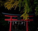 写真撮影の代行を致します 京都に行けない、でも写真が必要 イメージ1