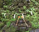 原因を元から探します いつも恋愛で失敗をするそんな貴方に原因を探して解決します イメージ1