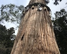 人に言えない秘密の恋や様々な悩み不安をお聞きします 誰にも言えないでもこのままだと辛くなってしまう時の息抜きに、 イメージ5