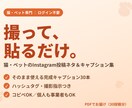 猫ペットのインスタ投稿ネタ集30をお渡しします 動物病院・サロン・猫好き向け｜コピペで使える投稿ネタ30 イメージ1
