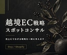 越境EC戦略を相談｜現役セラー対応します 売上につながる戦略を一緒に考えます イメージ1