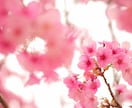 結婚/離婚/再婚について、守護霊に聞きます 統計学に基づく鑑定ではないため氏名生年月日などの個人情報不要 イメージ1