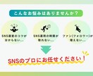 集客・ファン獲得のSNS運用を丸ごと代行します X(旧Twitter)、Instagramの運営丸投げ代行 イメージ2