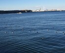 あなたを悩ますお悩みを消し去ります 二者択一の時、迷うときにも！最適な人生を歩むために✨ イメージ5