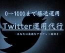 Twitter運用代行します 運用師によるアカウント構築(強化版) イメージ1