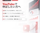 YouTubeチャンネルを伸ばすコンサルをします YouTubeのプロがあなたのチャンネル戦略を設計します！ イメージ5
