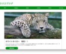 最短７日!!!STUDIOでwebサイト制作します 「すぐにwebサイトがほしい」そんな気持ちにお答えします！ イメージ5
