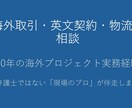 海外取引や英文契約の不安をプロが解決します 初めての輸出入や契約リスクをプロが解決 イメージ1
