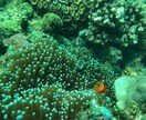 観光先の風景とグルメの写真を提供いたします プロではありませんが、ご了承ください。 イメージ6