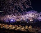 国内海外旅行、リゾートウェディングなど相談承ります 旅のイメージを一緒に立てましょう！ イメージ4