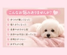 老犬との暮らしや介護のお悩みを一緒に考えます 食事・排泄・寝たきりなど、愛犬の介護をサポートします イメージ3
