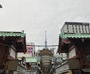 東京散歩を代行します あなたの代わりに東京を歩いて写真・動画でレポートします イメージ8