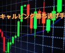 半裁量スキャルピング勝ち逃げ手法をお教えします 聖杯探しを終わらせたい方へ、これで最後にしませんか？ イメージ1