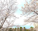 モラハラ相談☆ご希望により四柱推命鑑定もします なかなかわかってもらえないモラハラ被害、お聴きします イメージ3