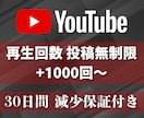 30日間再生回数1000回～増やします 1000回増加★YouTube投稿回数無制限★毎日可★ イメージ4