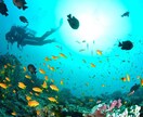 カリスマ、ドSの私が、ヤバい親友として話を聞きます カウンセラーとしてではなく悩み、相談欲しい話5分でも聞きます イメージ6