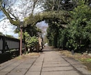 開運おみくじ七福神巡り10項目引かせて頂きます 運の吉凶と生年月日からこれからの人生を占います イメージ4