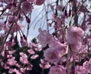 秘密厳守・お悩みお聞きします なんでもお話しお聞かせください イメージ1