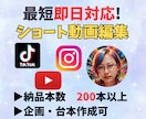 最短即日対応！SNSショート動画編集いたします TikTok・Instagram・Youtubeなど！ イメージ1