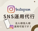 1ヶ月Instagram運用代行いたします 広告代理店出身のインフルエンサーが運用代行します！ イメージ1