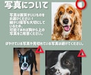 細部までこだわり生命感溢れるペット似顔絵を描きます デジタルでハッキリと、鉛筆ペンでアナログみたいに イメージ5