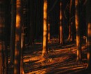 魂の記憶を塗り替え再誕させます 偽りの記憶を壊し、本当の未来へ イメージ6
