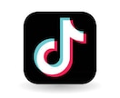 SNS集客の運用をサポートします SNS運用をまるごとサポートします！ イメージ3
