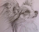 愛猫・愛犬などペットを鉛筆画で似顔絵を描きます 完成した絵を確認後の購入なので安心！確認後のキャンセルも無料 イメージ2