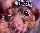 どんな内容でもOKよ!遠慮せずありのまま承ります 博多弁で気が済むまで向き合います!! イメージ1