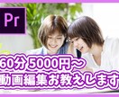 premierepro動画編集方法をお教え致します YouTube動画100万回以上再生実績！ イメージ1