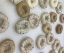 パン作りの困った、なぜ？アドバイスします 現役パン職人がパンづくりの疑問を解決！ イメージ3