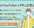 売上に貢献！高精度ターゲティング広告を運用します 現役YouTuberが動画制作から精密な広告運用まで代行！ イメージ1