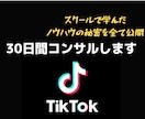 TiK ToK30日間コンサルします スクールで学んだノウハウの秘密をあなたにコンサルします。 イメージ1